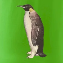 Tučniak kreslený vodovými farbami