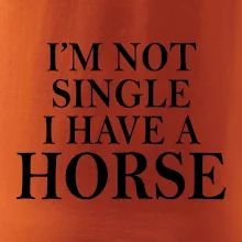 I have a horse