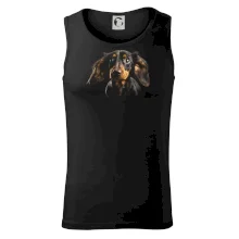 Jazvečík fotka len hlava Jazvečík fotka len hlava