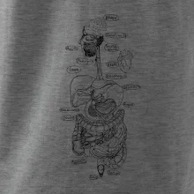 Skica ľudských orgánov