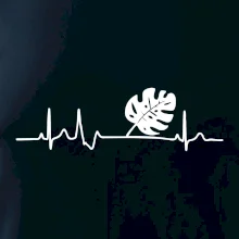 EKG Monstera