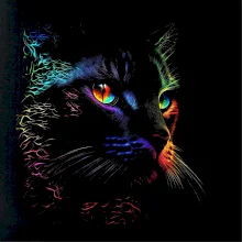 Duhová kočka vo tme
