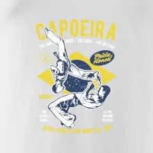 Capoeira  Afro-brazil art