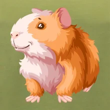 Morča - kreslené, bielo oranžové