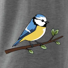 Sýkorka modrinka na vetve