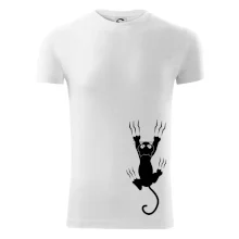 Mačka visiaca Mačka visiaca