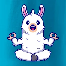 Yoga meditácie - lama