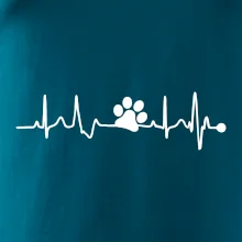 Ekg psia labka Ekg psia labka