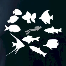 Potápač ryby štvorec