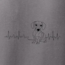 EKG krivka jazvečík