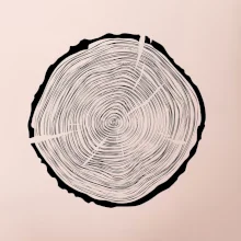 Letokruhy 55 bez veku