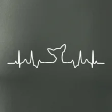 Čivava EKG Čivava EKG