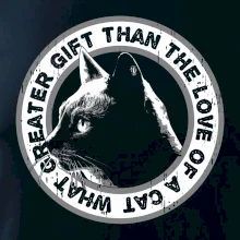Cat gift
