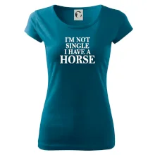 I have a horse I have a horse