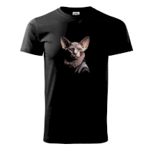 Kočka sphynx s límcem Kočka sphynx s límcem