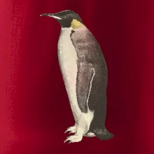 Tučniak kreslený vodovými farbami