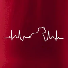 Stafordšírsky bulteriér ‎ EKG