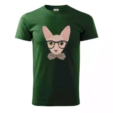 Hipster sphynx Hipster sphynx