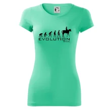 Evolúcia Ride horse