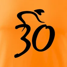 Cyklista oslavuje tridsiatku (30)