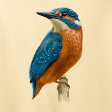 Ľadnáčik kreslený