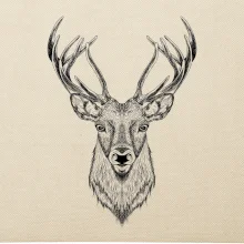 Jeleň kresba