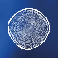 Letokruhy 95 bez veku Letokruhy 95 bez veku