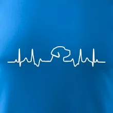 Labradorský retriever EKG Labradorský retriever EKG