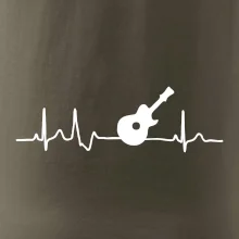 EKG akustická gitara