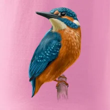 Ľadnáčik kreslený Ľadnáčik kreslený