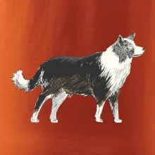 Border kólia kreslená