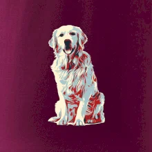 Zlatý retriever vintage