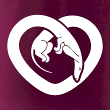 Jazvečík srdca - plný