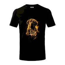 Obrázok poltón brazílska fila