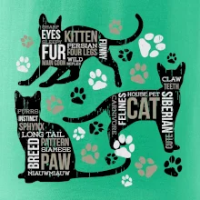 Cat itself Cat itself