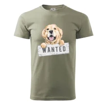Zlatý retriever - šteniatko wanted