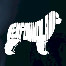 Novofundlandský pes - nápis v tele Novofundlandský pes - nápis v tele