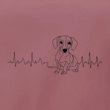 EKG krivka jazvečík