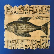 Egyptské hieroglyfy ryba