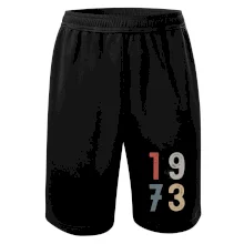 Vintage číslica 1973 Vintage číslica 1973