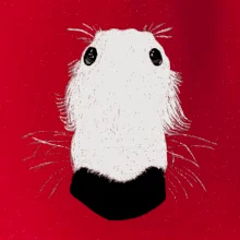 Barzoj čumák (Moňas)