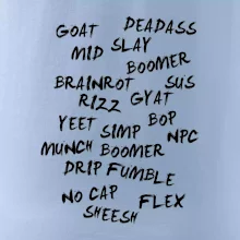 Generácia Z - Gén Z slovník