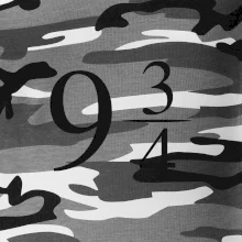 Harry - Nástupište 9 a trištvrte