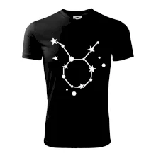 Súhvezdie - Taurus - Býk Súhvezdie - Taurus - Býk