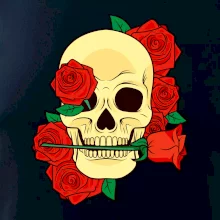 Lebka držiace ružu