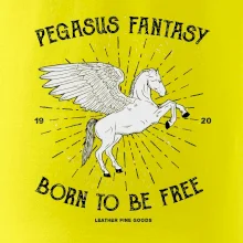 Pegasus fantasy