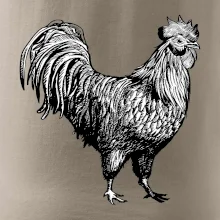 Kohút kreslený čiernobiely