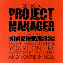 Being A Project Manager - bike