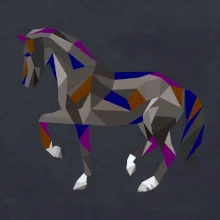 Kôň geometria farebný
