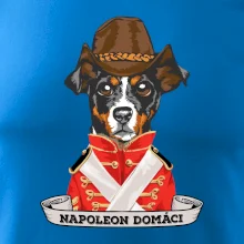 Napoleon domáci kríženec